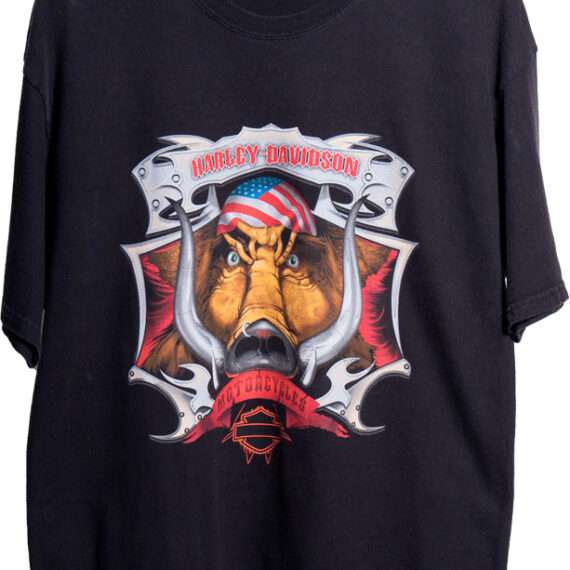 Harley Davidson 02