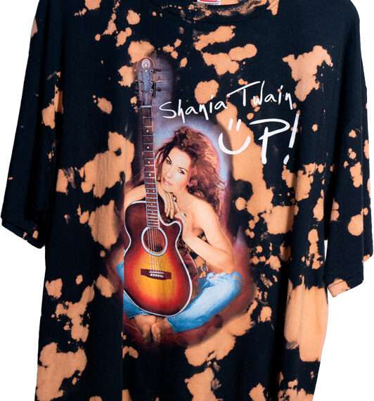 Shania Twain - Up